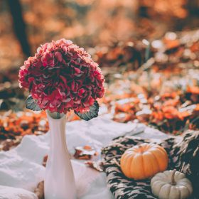 Autumn-13