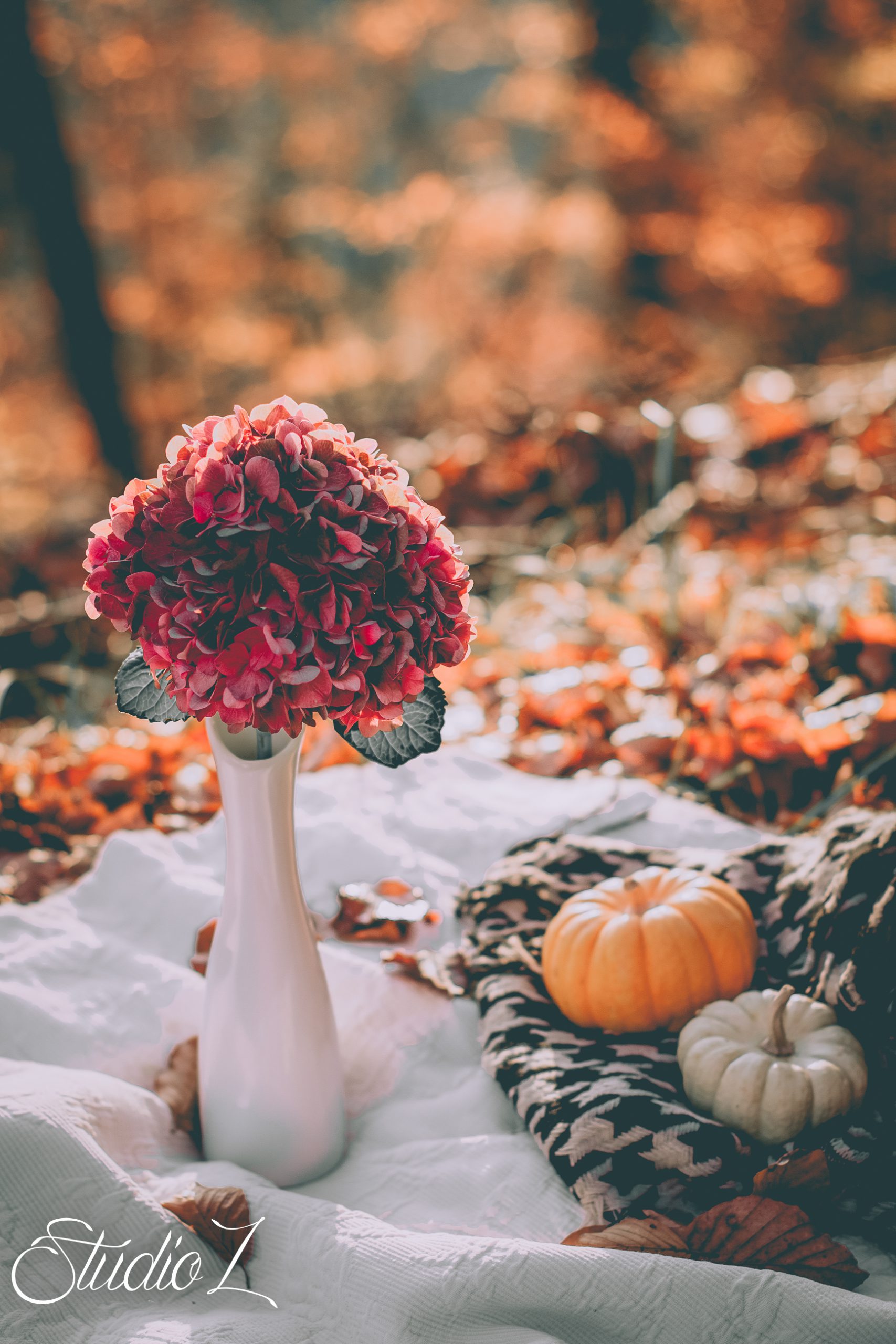 Autumn-13